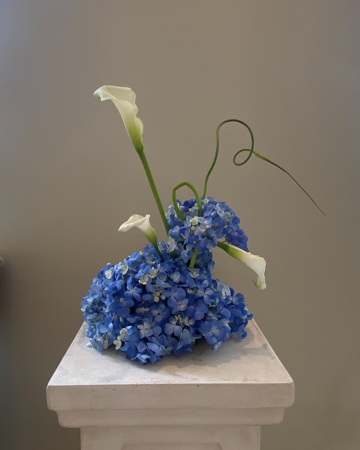 Sculptural arrangement of blue hydrangea and white calla lilies with curled grass accents, on a stone pedestal