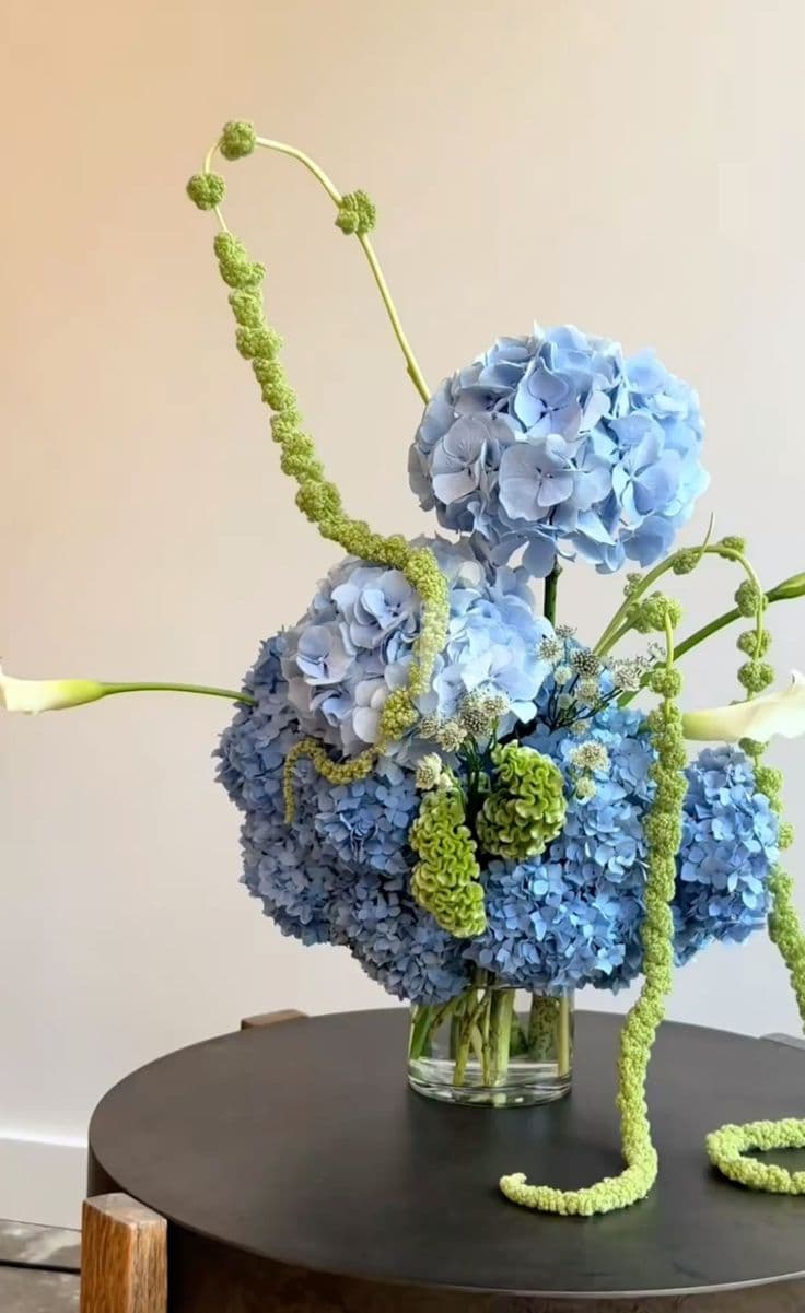 Sculptural arrangement of blue hydrangea, white calla lilies and curling green stems, on a plain backdrop