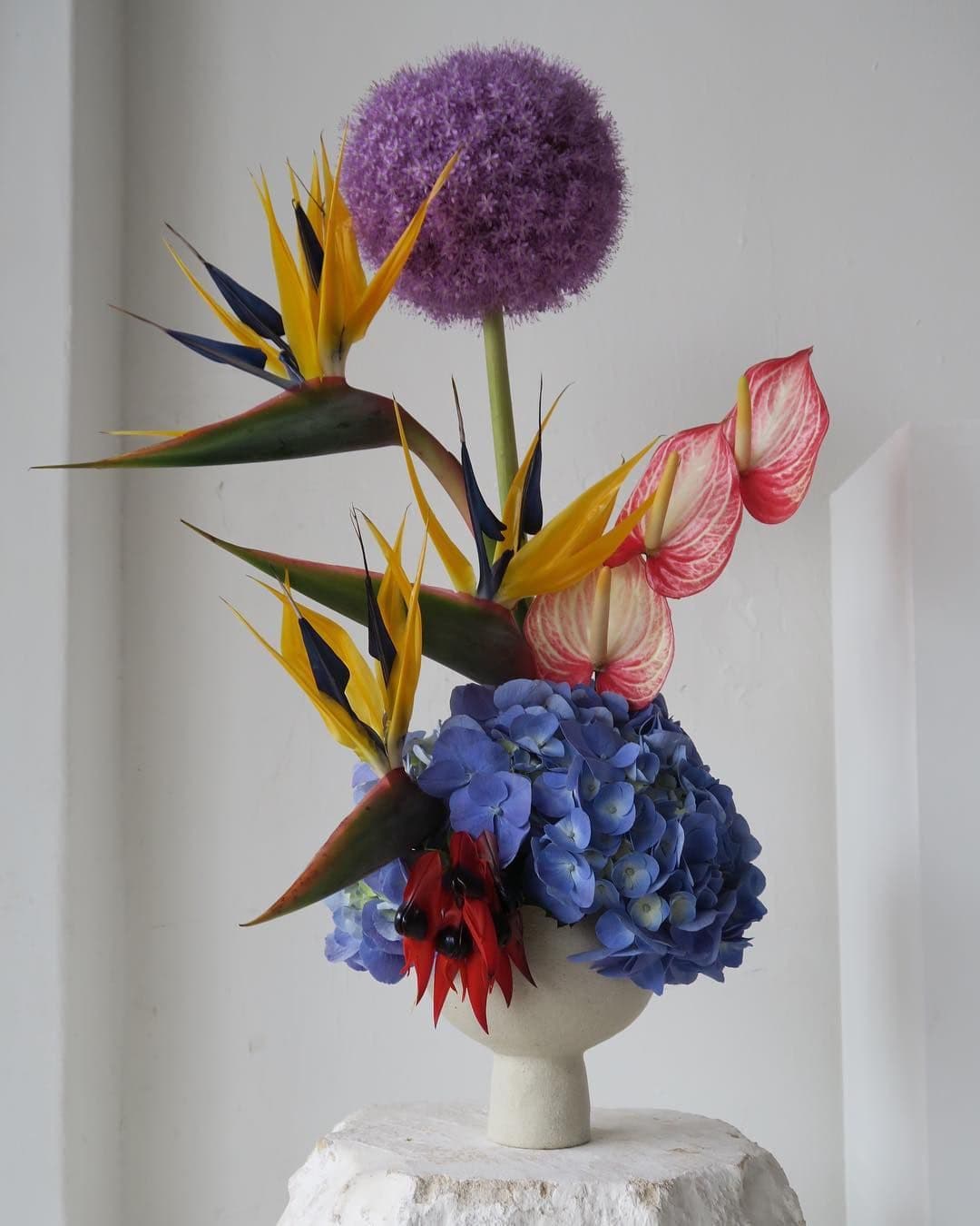 Bold sculptural arrangement of purple allium, bird of paradise, pink anthurium and blue hydrangea